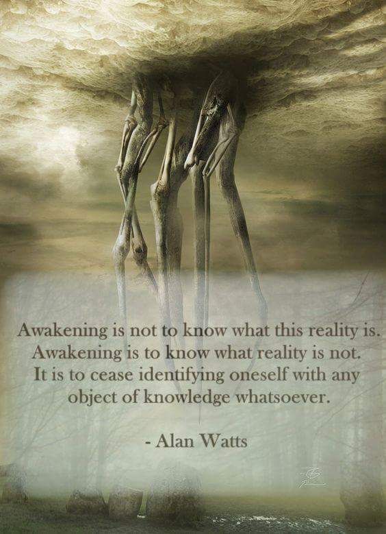 alan watts quotes
